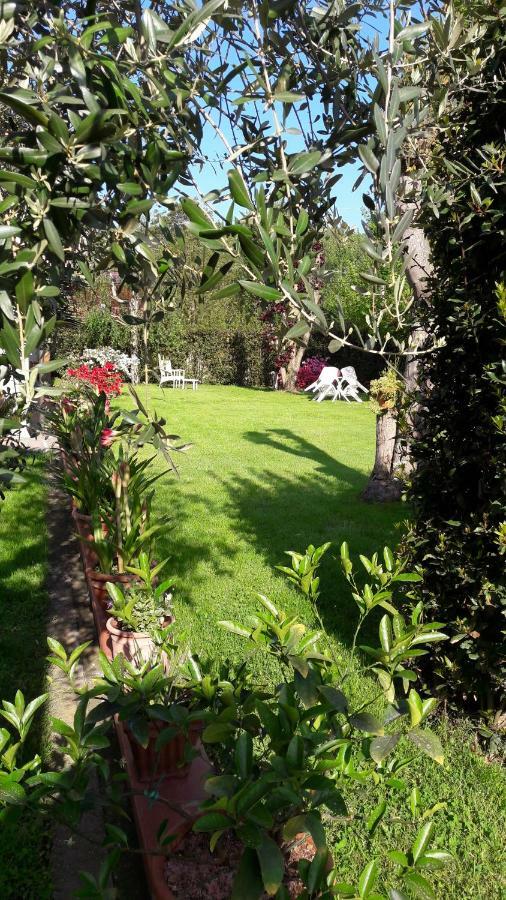 Il Volo Apartamento Lucca Exterior foto