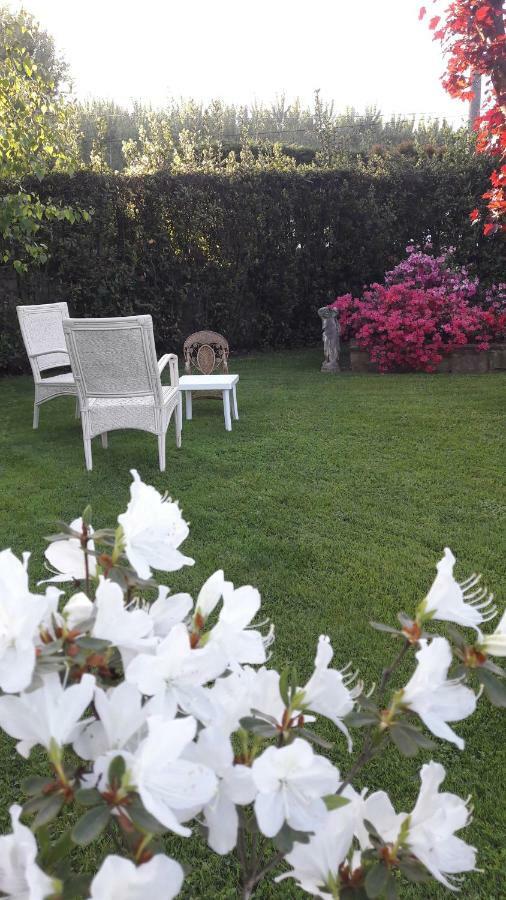 Il Volo Apartamento Lucca Exterior foto